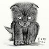 awful_cat