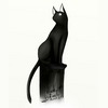 black_cat